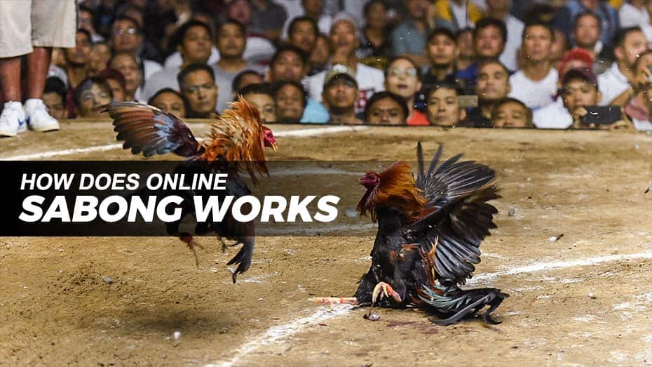 Understand how online sabong works