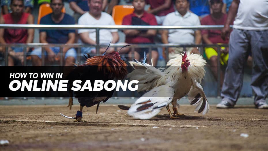 How to win in online sabong