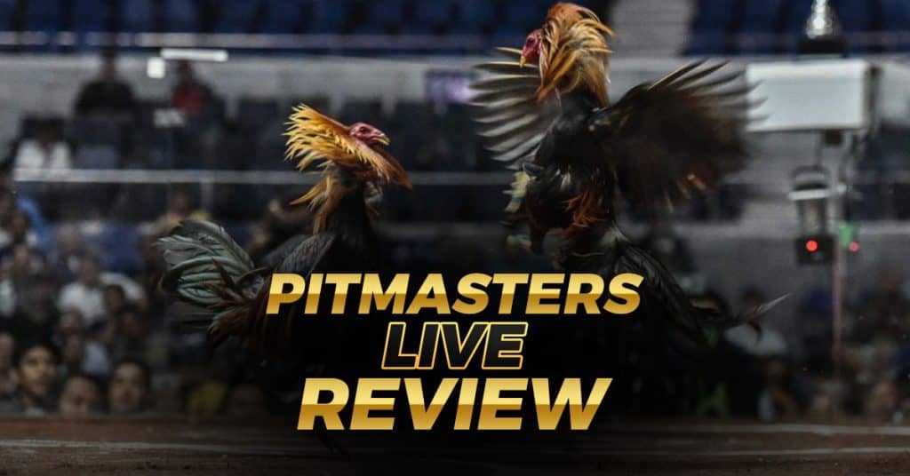 Detailed Pitmaster live review