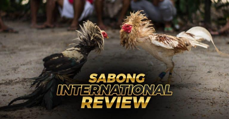 Go Perya | Sabong International expert review