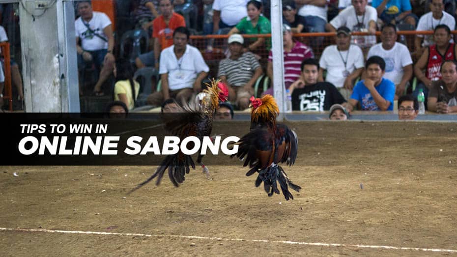 Tips to win online sabong